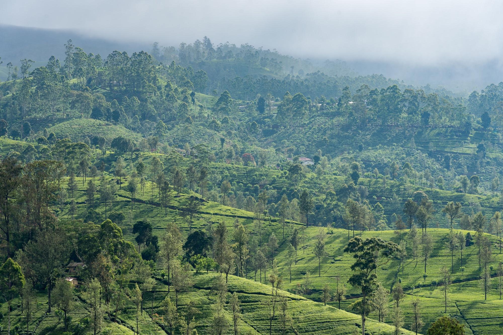 Langdale Boutique Hotel By Amaya Nuwara Eliya Esterno foto